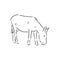 Sketch Donkey. Single Vector Hand Drawn Illustration. donkey, vector sketch illustration