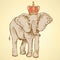Sketch elephant in crown, vector background