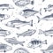 Sketch fishes seamless pattern. Etched ocean fish wrapper vector vintage background