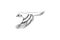Sketch flying bird. Hand drawn vector illustration isolated. Engraving sparrow, titmouse, swallow in doodle style.
