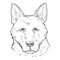 Sketch German Shepherd Dog Face Front View