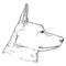 Sketch German Shepherd Dog Face Vector Illustration