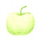 Sketch of green apple drawn by colored pencils
