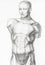 Sketch of gypsum anatomical ecorche male torso