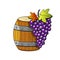 Sketch illustration on white background. Vector illustration. Isolated object. Vector wooden barrel with wine. Sketch of grapes