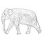 Sketch large African elephant on a white background