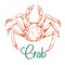 Sketch of large japanese snow crab