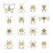 Sketch linear insect icons with yellow details