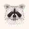 Sketch liner raccoon. Hand drawn vector illustration in doodle