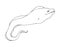 sketch of a moray eel. hand-drawn sketch-style sea animal moray eel, side view with open mouth, isolated black outline