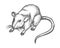 Sketch mouse, hand drawn wild rat rodent animal