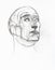 Sketch of Niccolo da Uzzano head drawn by pencil