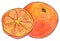 Sketch orange exotic fruit and slice hand drawn isolated vector