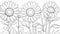 Sketch the outline of a cheerful sunflower garden with tall stems and big, bright petals for coloring fun.