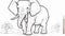 Sketch the of Outline a friendly elephant with a raised trunk and big floppy ears
