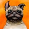 Sketch painted in watercolor: pug dog on an orange background