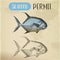 Sketch of permit or game fish. Seafood