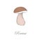 Sketch Porcini mushroom. Boletus edulis. White fungus. vector i