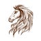 Sketch profile of arabian horse head