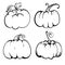 Sketch pumpkin sketch, vector illustration. Pumpkins on a white backgroun