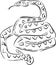 Sketch of rattlesnake