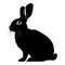 Sketch Realistic Rabbit Silhouette Illustration. Furry Easter Bunny Black Ink Silhouette on White Background.