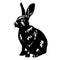 Sketch Realistic Rabbit Silhouette Illustration. Furry Easter Bunny Black Ink Silhouette on White Background.