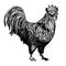 Sketch of a rooster, animals and birds on a farm. vector illustration on a white background. drawing with a black pen