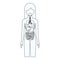 Sketch silhouette of female person with internal organs system of human body