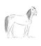 Sketch of silhouette of grey horse