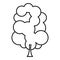 sketch silhouette tree with several crown leaves icon