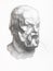 Sketch of Socrates head drawn by graphite pencil