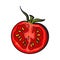 Sketch style drawing of ripe red half tomato