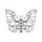 Sketch tattoo of outline insect. Isolated linear vector illustration of butterfly on a white background. Moth image