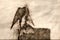 Sketch of a Tree Swallow Stretching its Wings While Perched atop a Weathered Wooden Post