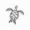 Sketch turtle isolated wood tortoise, sea reptile