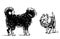 Sketch of two domestic dogs meet on a walk