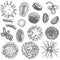 Sketch virus. Bacteria, coronavirus germ biology micro organic elements. Covid-19 viruses, cancer cells hand drawn