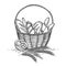 Sketch of wheat bakery basket