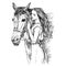 Sketch Woman and horse. Young woman caressing a horse.