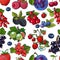 Sketched berries like blueberry, raspberry, gooseberry, current, plum seamless pattern