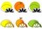 Sketched Citrus Fruits