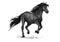 Sketched stallion gallop or horse abling