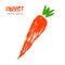 Sketched vegetable illustration of carrot.