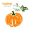 Sketched vegetable illustration of pumpkin.