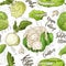 Sketched vegetables background. Vector seamless pattern with kohlrabi and napa cabbage and couliflower and lettuce. Hand