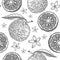 Sketched yuzu background with decorative fruit, leaves, and flowers in engraving style. Hand-drawn citrus plant seamless pattern.