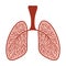 Sketchy illustration of human lungs with blood vessels. Colored icon clipart medicine, healthy human lungs