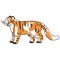 Sketchy inked tiger big cat vector illustration. Free hand drawn endangered jungle wildlife clipart, kids drawing of dangerous