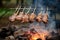 skewered lamb chops grilling over campfire with smoke